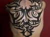 Tribal